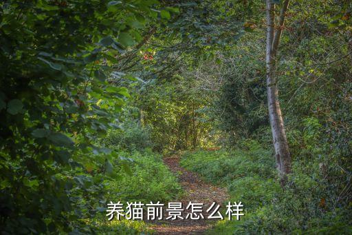 養(yǎng)貓前景怎么樣