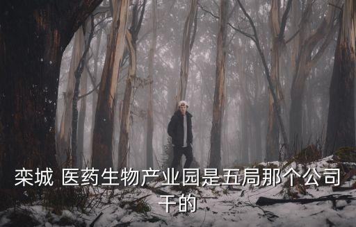 欒城 醫(yī)藥生物產(chǎn)業(yè)園是五局那個公司干的