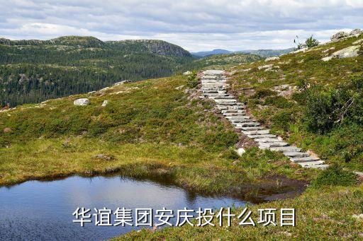 上海華誼丙烯酸裝置,華誼丙烯酸會(huì)搬出高橋嗎