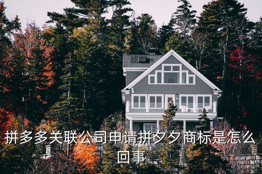 拼多多關(guān)聯(lián)公司申請(qǐng)拼夕夕商標(biāo)是怎么回事