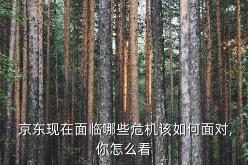 京東虧損對集團造成的影響