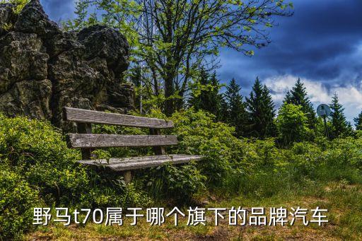 野馬t70屬于哪個(gè)旗下的品牌汽車