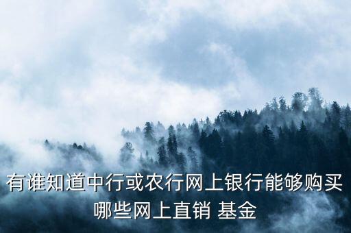 有誰知道中行或農(nóng)行網(wǎng)上銀行能夠購(gòu)買哪些網(wǎng)上直銷 基金