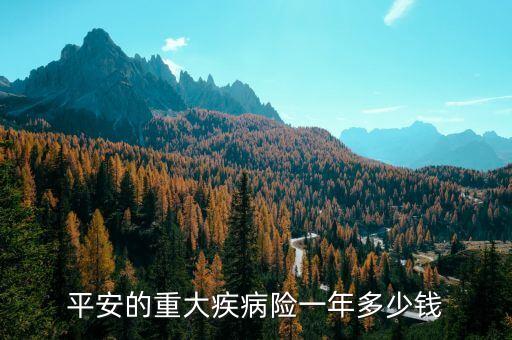 平安的重大疾病險(xiǎn)一年多少錢(qián)