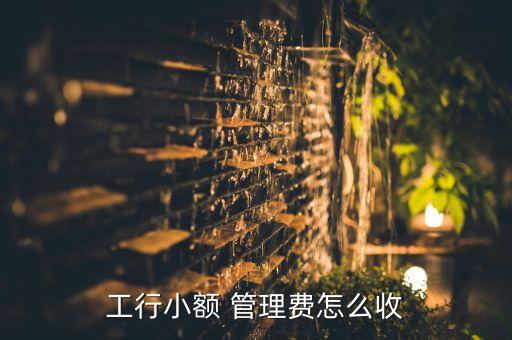 工行小額 管理費(fèi)怎么收