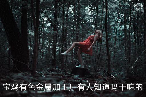 寶雞有色金屬加工廠有人知道嗎干嘛的