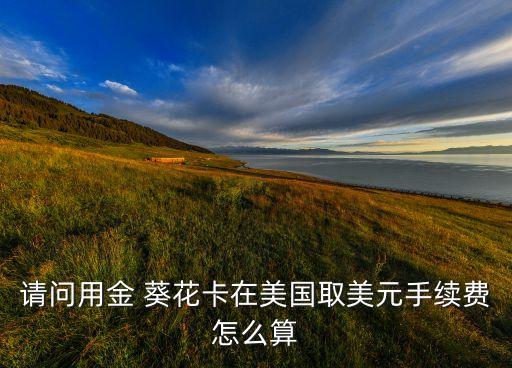 美國(guó)簽證招商銀行金葵花,招商銀行黑卡和金葵花區(qū)別
