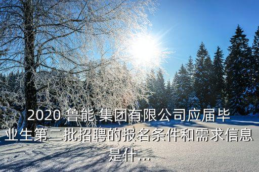 2020 魯能 集團(tuán)有限公司應(yīng)屆畢業(yè)生第二批招聘的報(bào)名條件和需求信息是什...