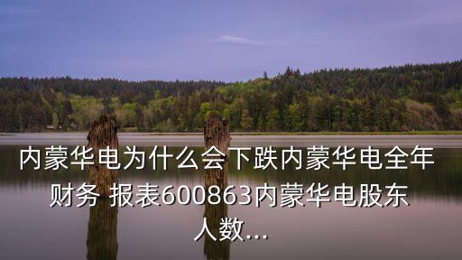內(nèi)蒙華電為什么會下跌內(nèi)蒙華電全年 財務 報表600863內(nèi)蒙華電股東人數(shù)...