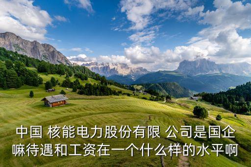 中國 核能電力股份有限 公司是國企嘛待遇和工資在一個什么樣的水平啊