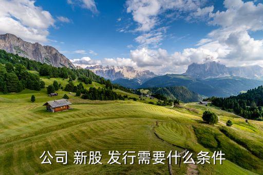  公司 新股 發(fā)行需要什么條件