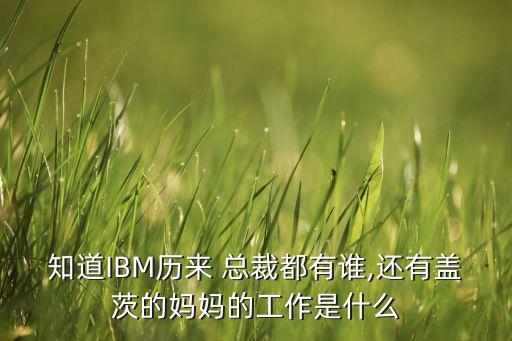 知道IBM歷來 總裁都有誰,還有蓋茨的媽媽的工作是什么