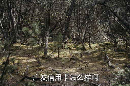  廣發(fā)信用卡怎么樣啊