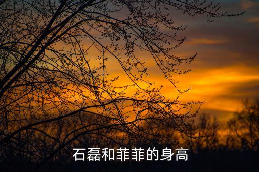  石磊和菲菲的身高
