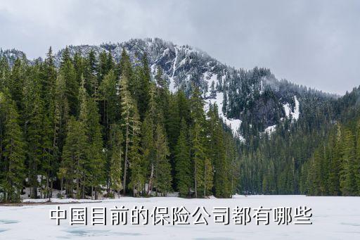 中意財產(chǎn)保險有限公司上海分公司,太平財產(chǎn)保險有限公司上海分公司