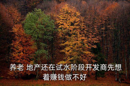  養(yǎng)老 地產(chǎn)還在試水階段開(kāi)發(fā)商先想著賺錢做不好