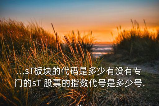 ...sT板塊的代碼是多少有沒有專門的sT 股票的指數(shù)代號是多少號...