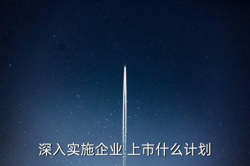 深入實施企業(yè) 上市什么計劃