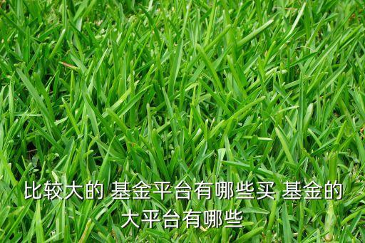 比較大的 基金平臺有哪些買 基金的大平臺有哪些