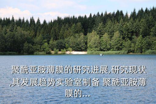  聚酰亞胺薄膜的研究進(jìn)展,研究現(xiàn)狀,其發(fā)展趨勢(shì)實(shí)驗(yàn)室制備 聚酰亞胺薄膜的...