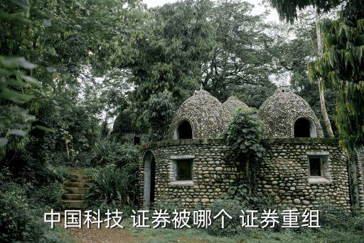 證券投資者保護(hù)基金有限責(zé)任公司,中國證券投資者保護(hù)基金有限責(zé)任公司招聘
