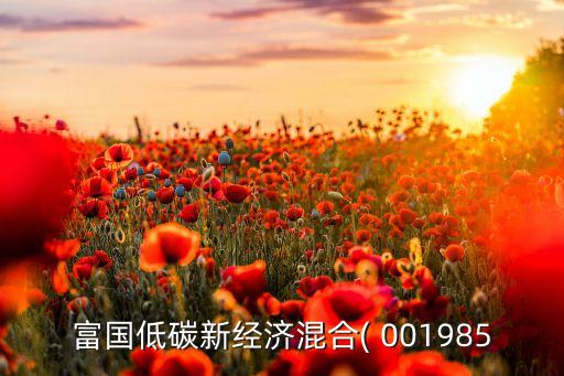 富國低碳新經(jīng)濟(jì)混合( 001985