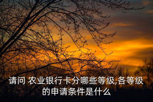 請(qǐng)問 農(nóng)業(yè)銀行卡分哪些等級(jí),各等級(jí)的申請(qǐng)條件是什么