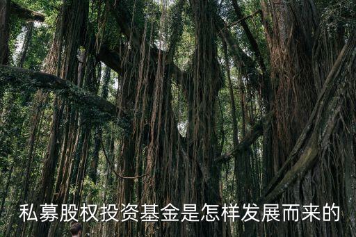 私募如何進入中國,如何進入股票私募公司