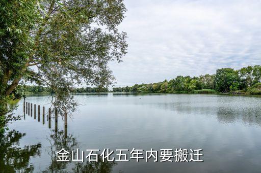 上?；瘜W(xué)工業(yè)區(qū)總體規(guī)劃,洪江市工業(yè)區(qū)總體規(guī)劃