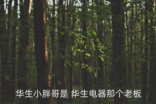 華生集團心目中的好領(lǐng)導