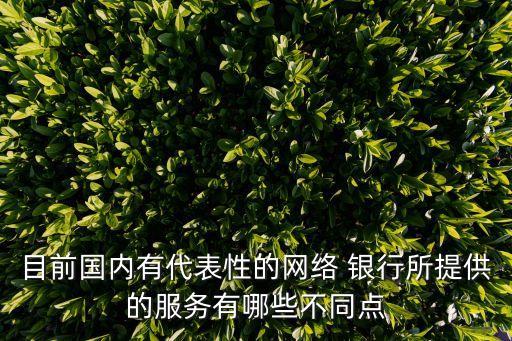 國內(nèi)外網(wǎng)上銀行業(yè)務(wù)對比,手機怎么開通網(wǎng)上銀行業(yè)務(wù)