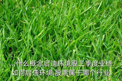 ...什么概念啟迪環(huán)境股三季度業(yè)績?nèi)绾螁⒌檄h(huán)境 股票屬于哪個行業(yè)