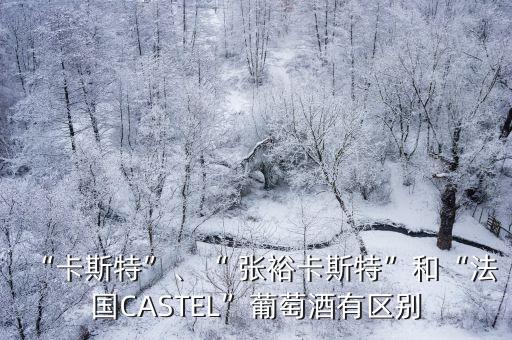 “卡斯特”、“ 張?jiān)？ㄋ固亍焙汀胺▏鳦ASTEL”葡萄酒有區(qū)別
