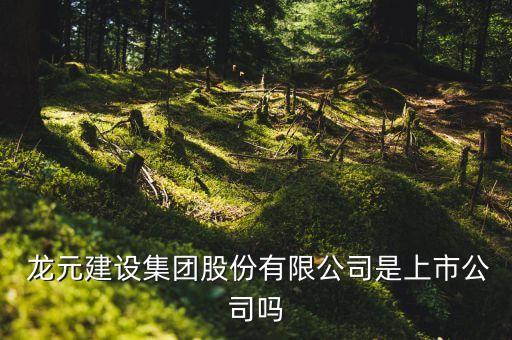  龍元建設(shè)集團股份有限公司是上市公司嗎