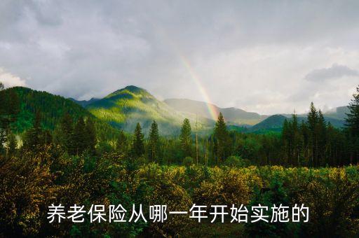 2015社保基金入市時(shí)間