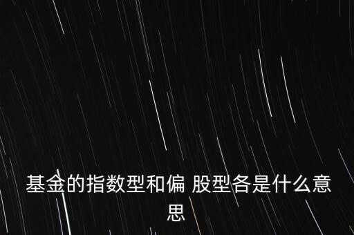  基金的指數(shù)型和偏 股型各是什么意思