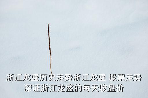 浙江龍盛歷史走勢浙江龍盛 股票走勢深證浙江龍盛的每天收盤價