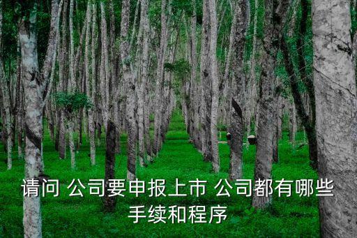 請問 公司要申報(bào)上市 公司都有哪些手續(xù)和程序
