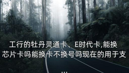 工行的牡丹靈通卡、E時代卡,能換 芯片卡嗎能換卡不換號嗎現(xiàn)在的用于支...