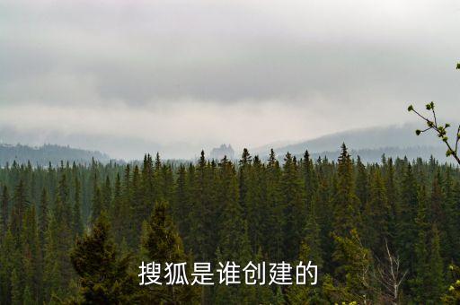 搜狐是誰(shuí)創(chuàng)建的