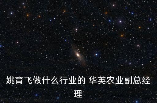 姚育飛做什么行業(yè)的 華英農業(yè)副總經理