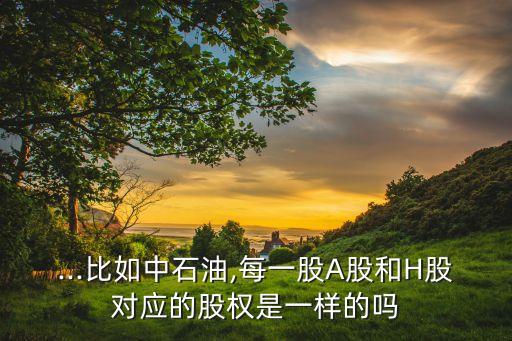 ...比如中石油,每一股A股和H股對應(yīng)的股權(quán)是一樣的嗎