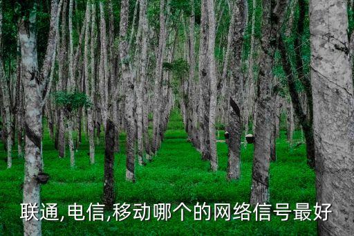 中國(guó)聯(lián)通用戶數(shù)減少