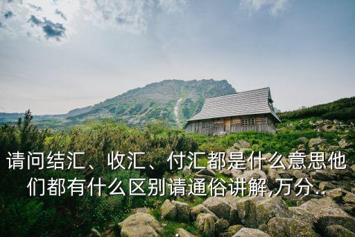 請問結(jié)匯、收匯、付匯都是什么意思他們都有什么區(qū)別請通俗講解,萬分...