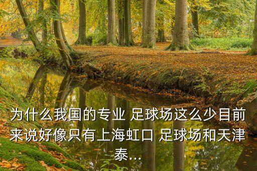 為什么我國(guó)的專業(yè) 足球場(chǎng)這么少目前來說好像只有上海虹口 足球場(chǎng)和天津泰...