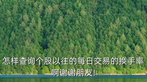 怎樣查詢個股以往的每日交易的換手率啊謝謝朋友!
