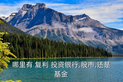 復(fù)利式投資平臺(tái),100萬(wàn)的復(fù)利表