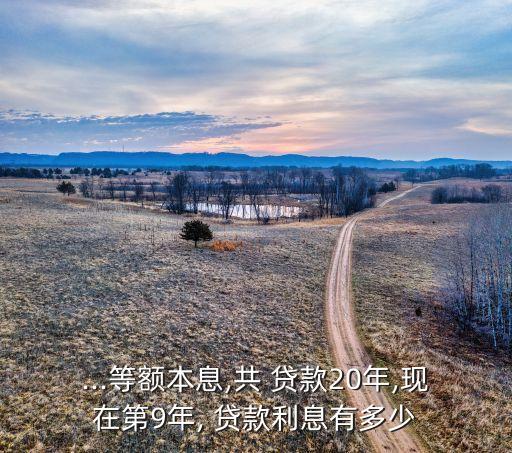 ...等額本息,共 貸款20年,現(xiàn)在第9年, 貸款利息有多少