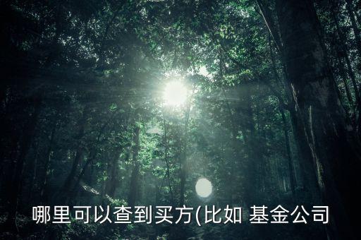 興業(yè)基金授信查詢,興業(yè)全球新視野基金凈值查詢
