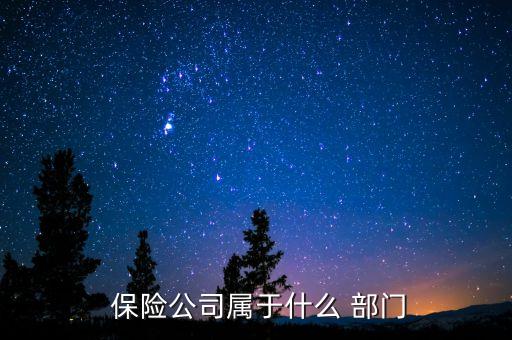  保險(xiǎn)公司屬于什么 部門